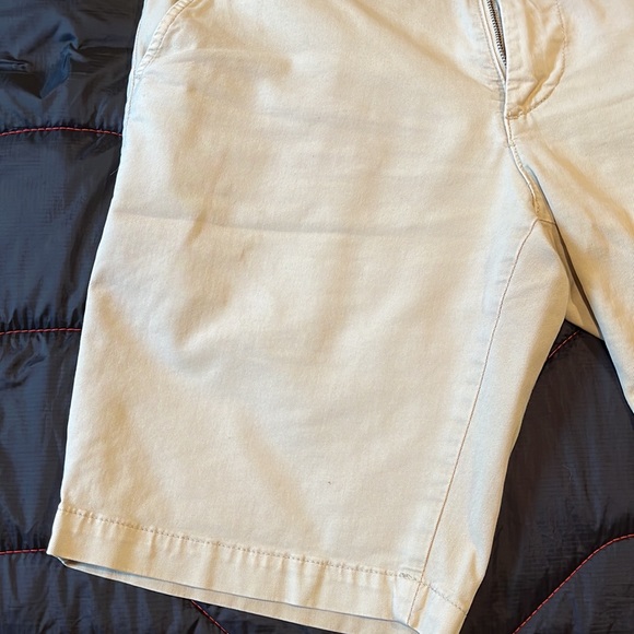 AG Adriano Goldschmeid Shorts - Picture 3 of 7